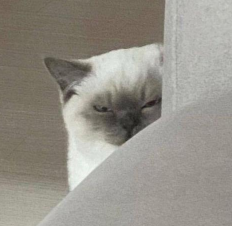 I am watching everything Discord sticker
