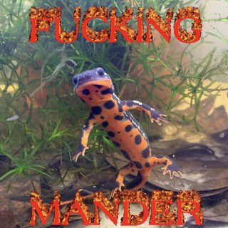mandie Discord sticker