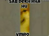 sab dekh rha hu vmro Discord sticker