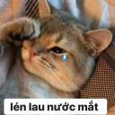 Cry! Discord sticker
