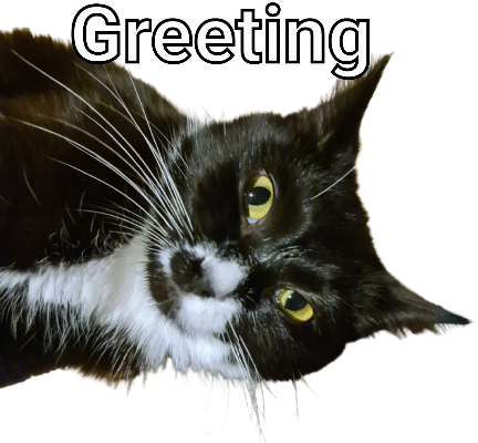 greeting Discord sticker