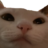 Stareeeee Discord sticker