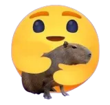 Capybara Discord sticker
