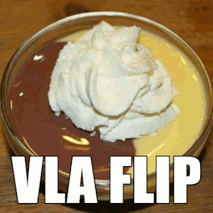 Vla Flip Discord sticker