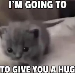 I'm going to give you a hug  Discord sticker