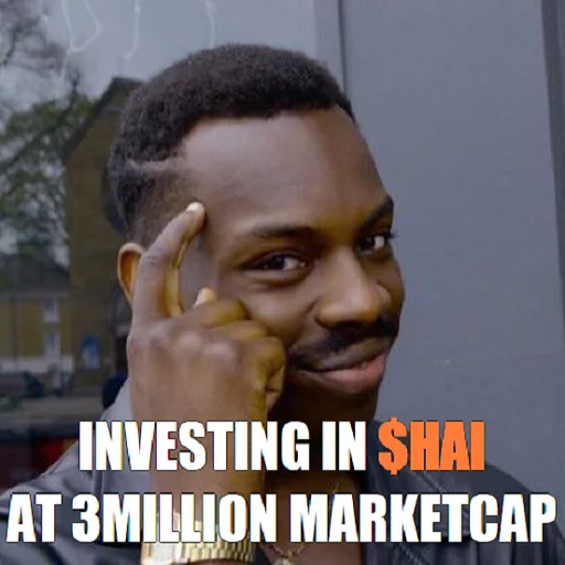 Investing in HAI at 3M mcap Discord sticker