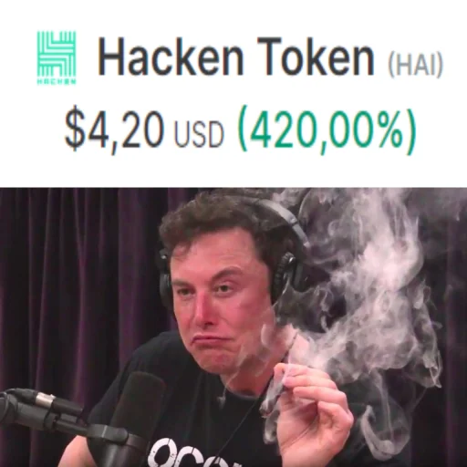 Elon HAI Discord sticker