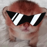 cool magu kitty benere shades 