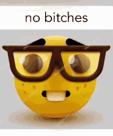 No bitches Discord sticker