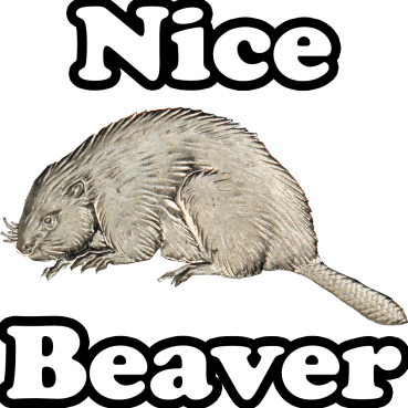 Beaver Discord sticker