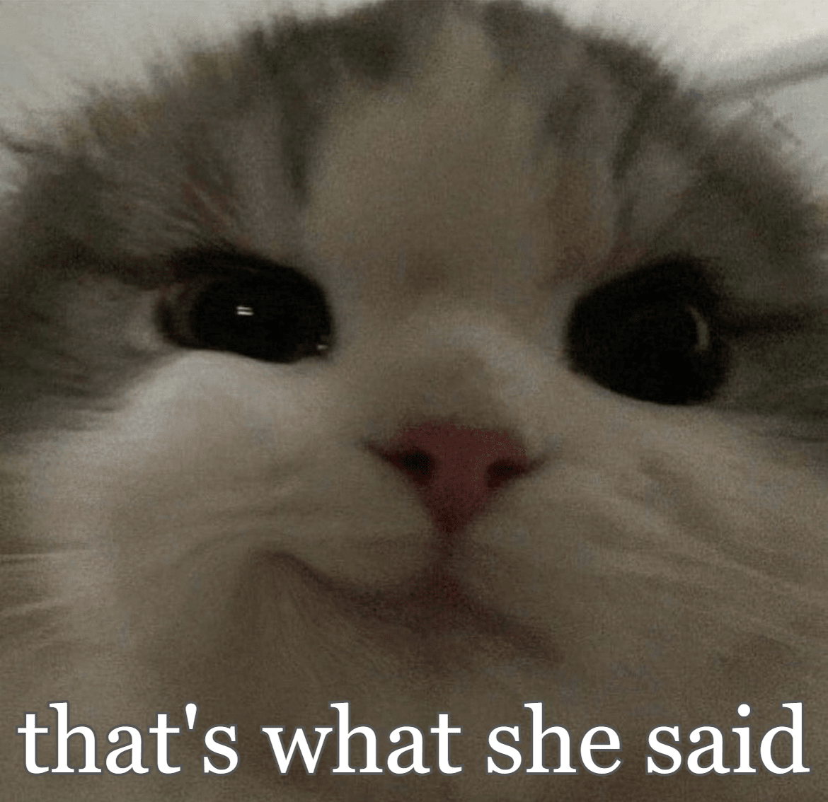 that's what she said Discord sticker