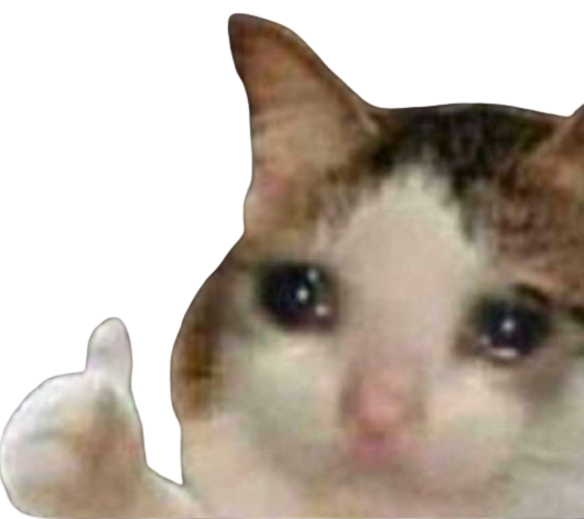 Sad Cat Thumbs Up Discord sticker