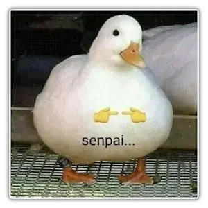 senpai shy Discord sticker