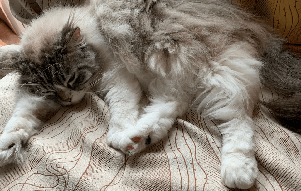 nap time Discord sticker