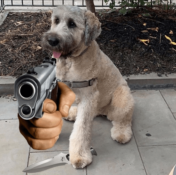 AJR - Shay w/ Gun Discord sticker