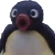 Pingu Pog Discord sticker