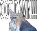 GOT DAMN!!! Discord sticker