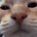 bro what Discord sticker