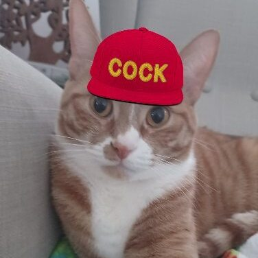 kmm cock flerkin Discord sticker