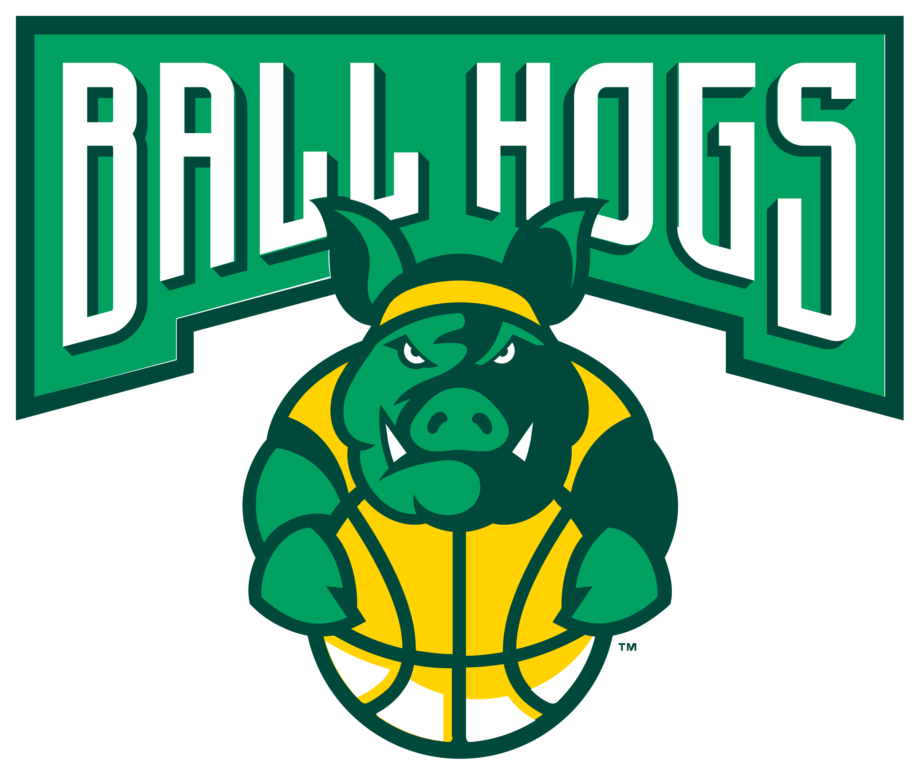 Ball Hogs Discord sticker