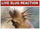 Live Slug Reaction Discord sticker