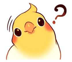 bird_tilt Discord sticker