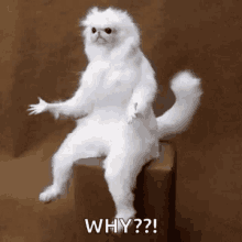 why Discord sticker