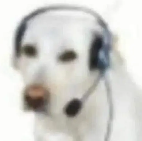 q dices Discord sticker