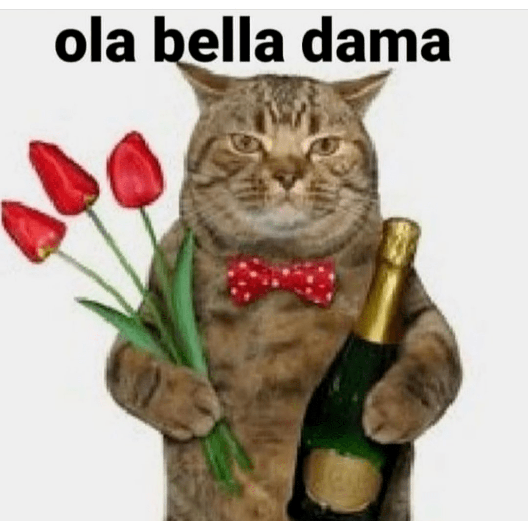hola bella dama Discord sticker