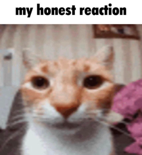 my honest reaction
