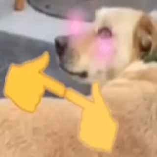 DOG BLUSH Discord sticker