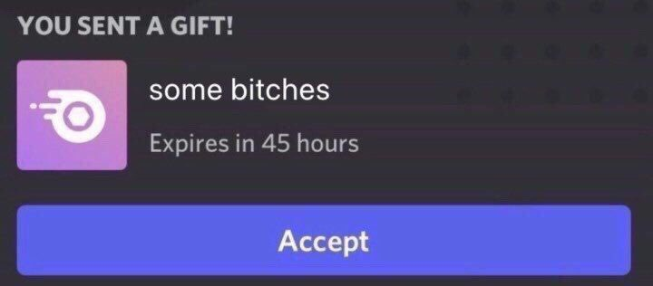 TAKE SOME BITCHES Discord sticker