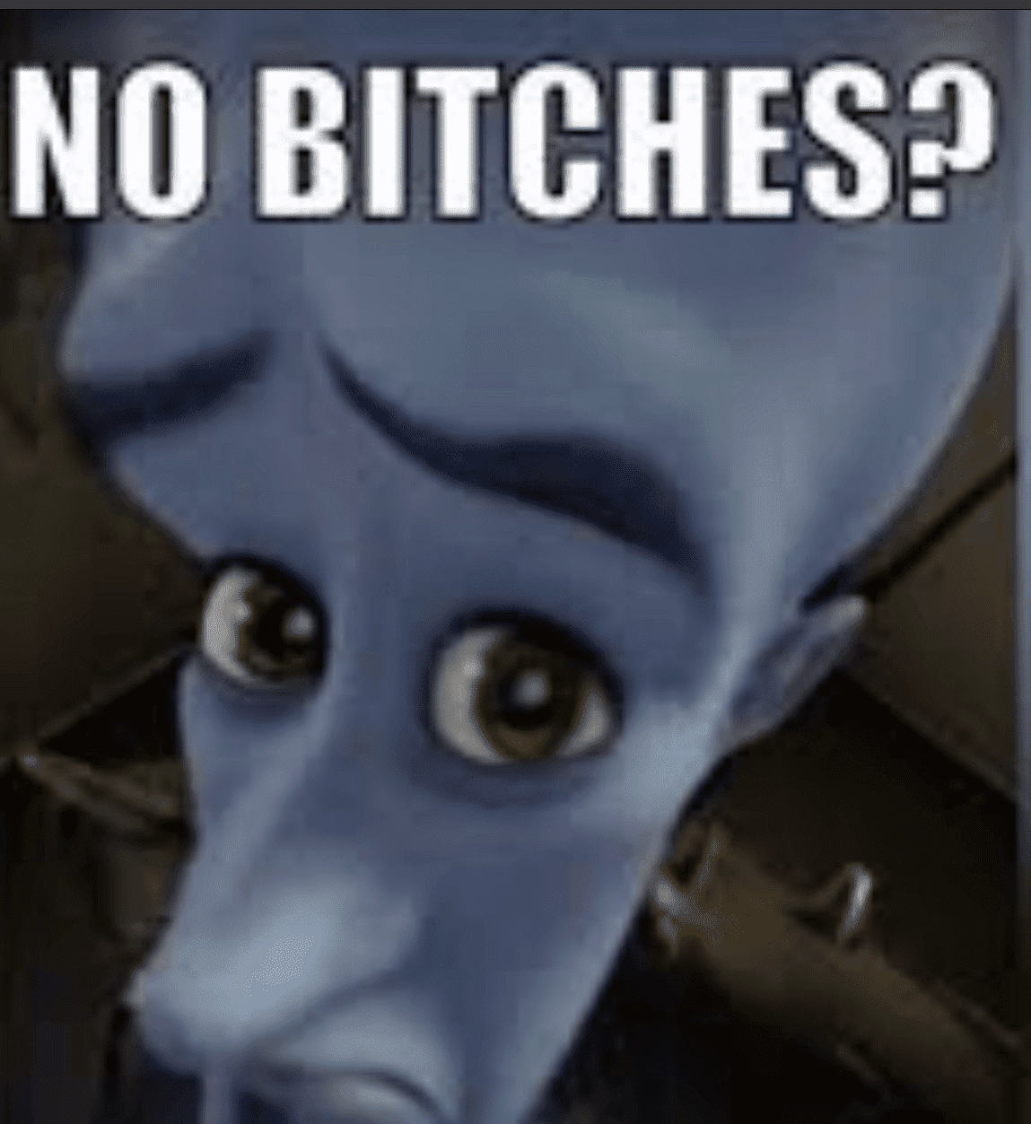 NOBITCHES?? Discord sticker