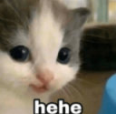 hehe Discord sticker