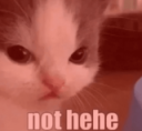 not hehe Discord sticker