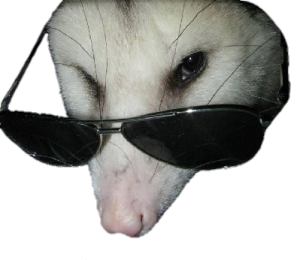 cool possum Discord sticker