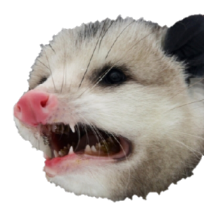 disgusted possum Discord sticker