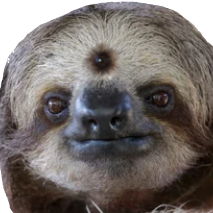 SlothWise