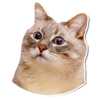 Wuuu Discord sticker