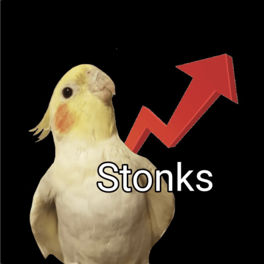 when you invest in birtcoin