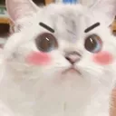 GO_catHmpf Discord sticker