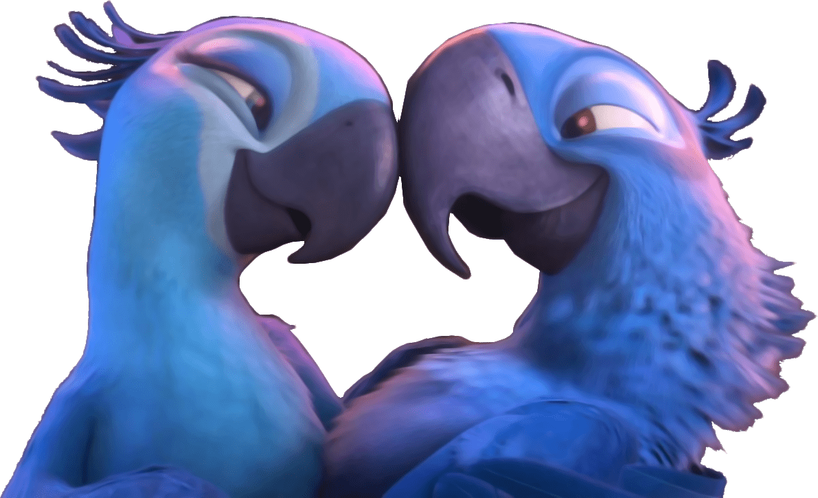 Love Birds <3 Discord sticker