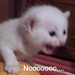 no Discord sticker