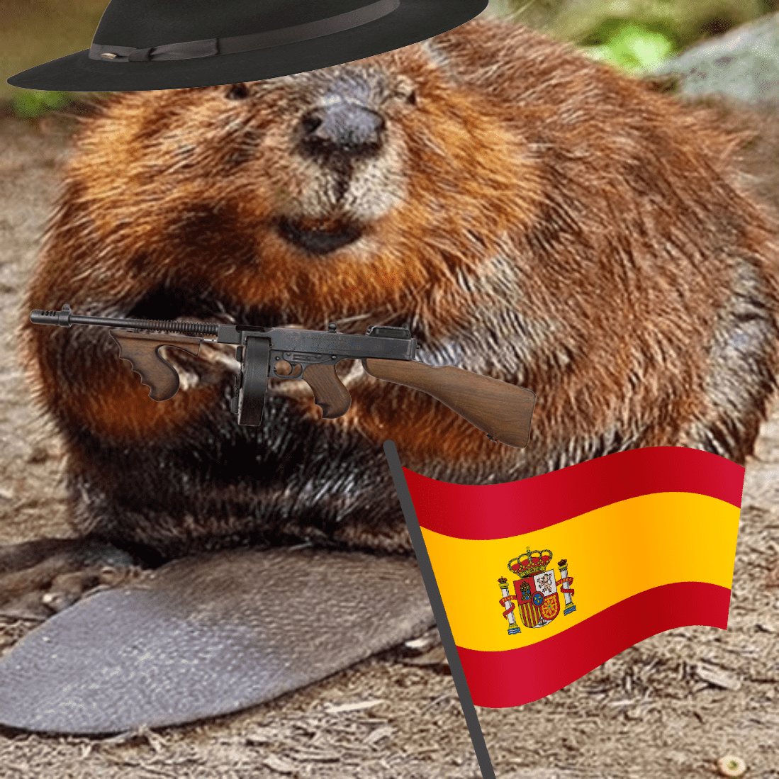 el bober Discord sticker