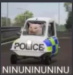 NinuinuiNinui Discord sticker