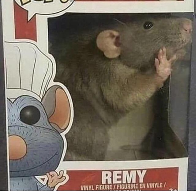 ratatouie Discord sticker