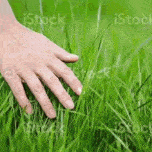 Grass Discord sticker