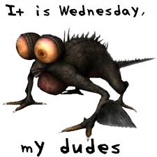 Wednesday