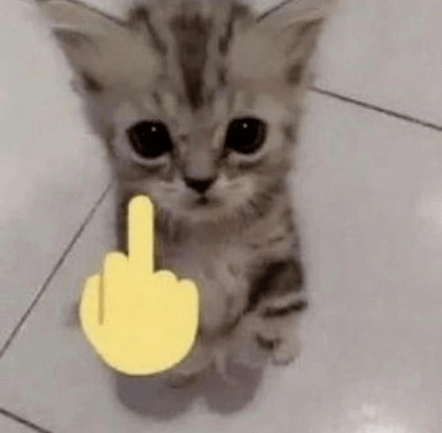 fokiu Discord sticker