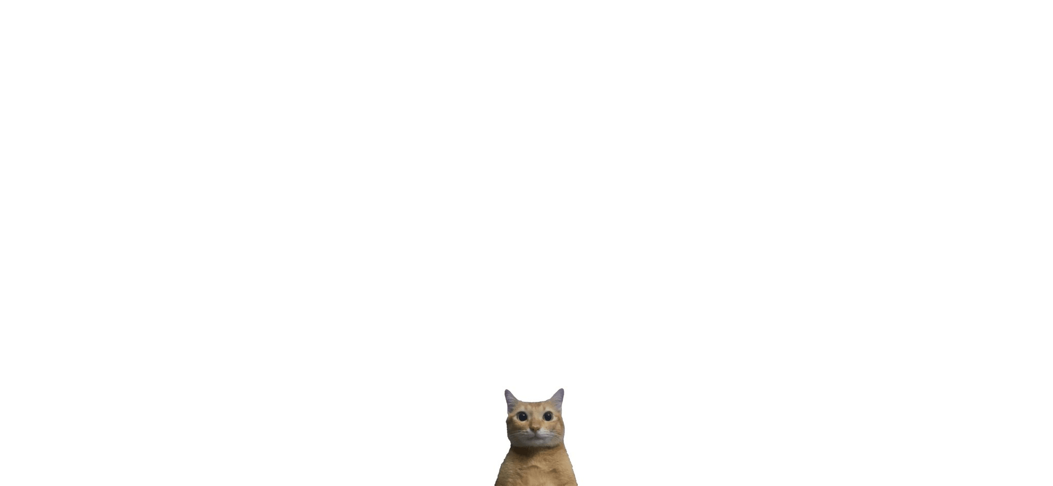Cat Discord sticker